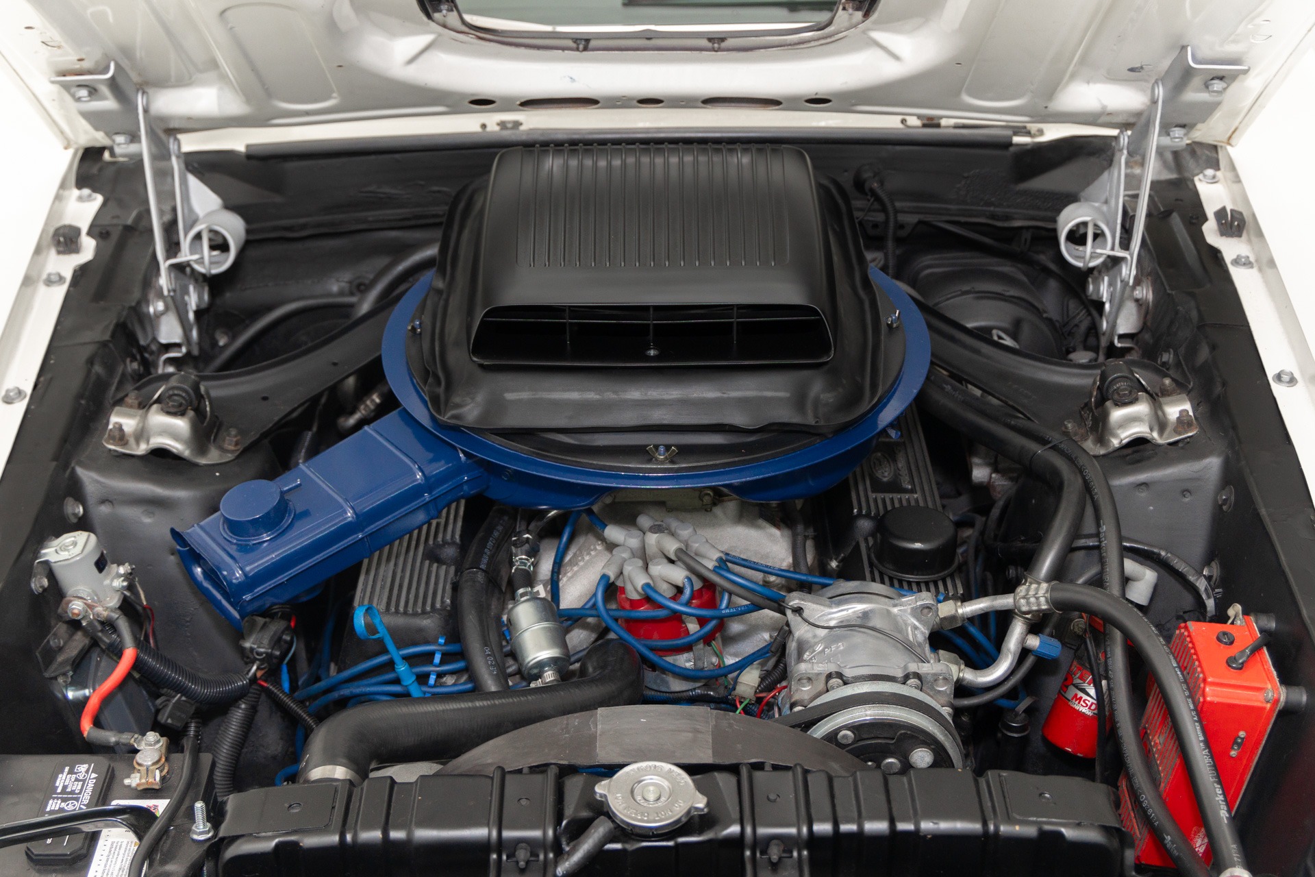 Used 1970 Ford Mustang Mach1 Stroked 351C 4-Speed AC | St. Petersburg, FL